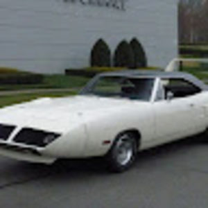 Meet your Posher, Shane